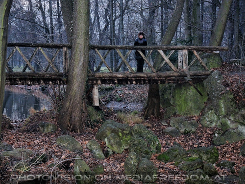 Kaiserliche Gartenlust 42