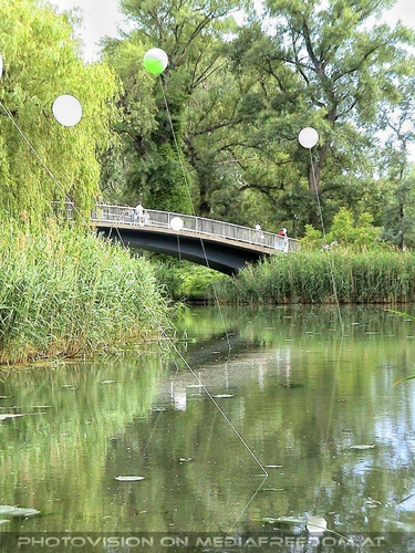 Festballons �ber dem Teich