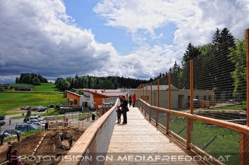 F�r vier Pfoten 72