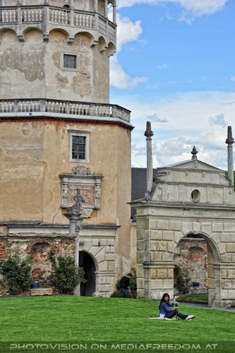 Greifvogel Vorf�hrung 02