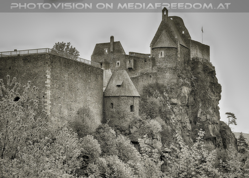 Elfen, Gnome und Druiden 01