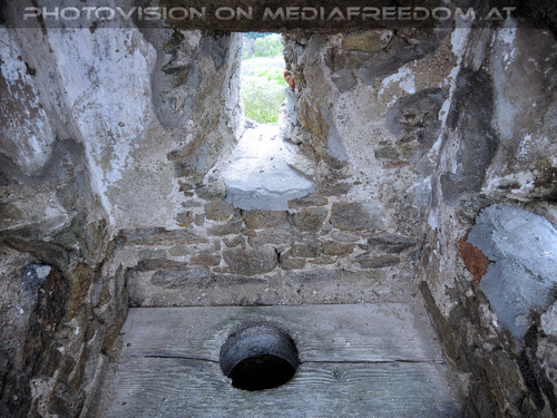 Elfen, Gnome und Druiden 22