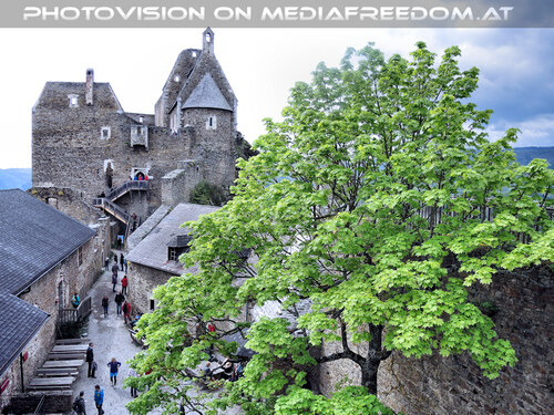 Elfen, Gnome und Druiden 46