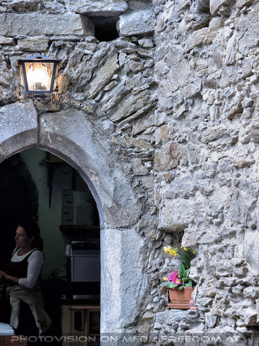 Elfen, Gnome und Druiden 53