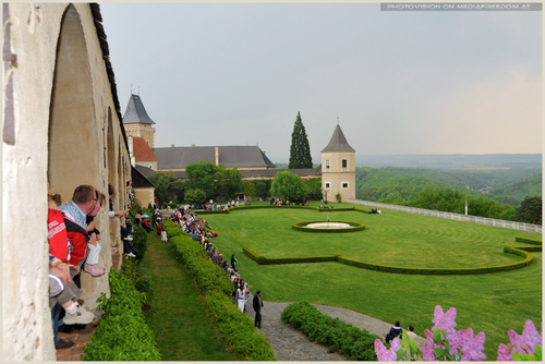 Vor der Greifvogelshow