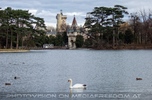 Franzensburg und Teich