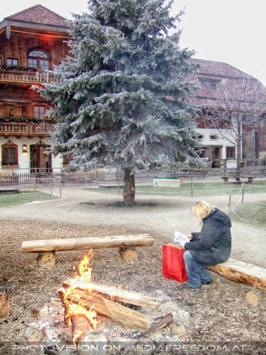 Die Tierretter von Aiderbichl 41