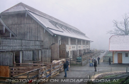 Die Tierretter von Aiderbichl 40