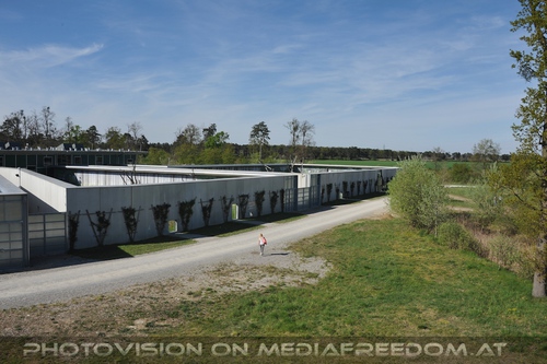 Das Affenrefugium 002