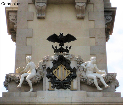 Rathaus mit Fledermaus