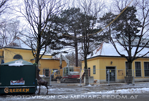 Umbau Giraffenhaus 1