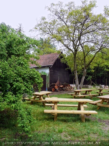 Besucher F�hrung 06