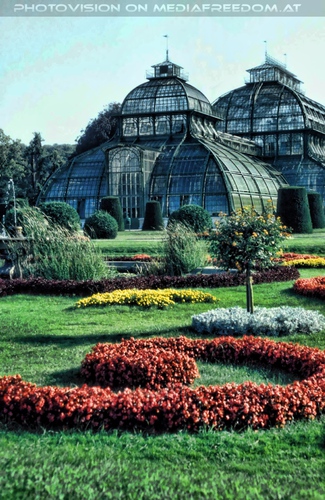 Palmenhaus
