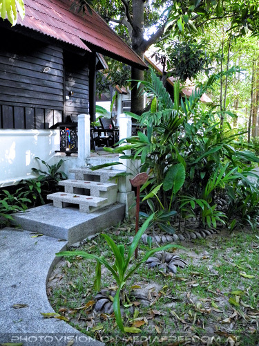 Peace Resort Morning 03