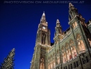 Christbaum und Rathaus
