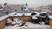 Schnee auf der Terrasse