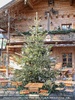 Tiroler Garten mit Christbaum