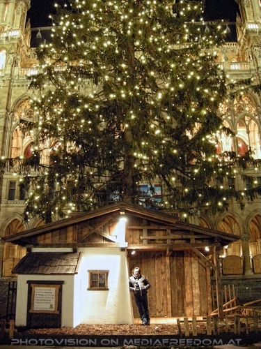Rathaus Christbaum 3