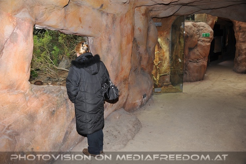 In the desert of Vienna 03