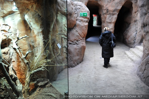 In the desert of Vienna 05