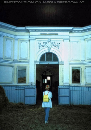 Lipizzaner Sommerquartier 4