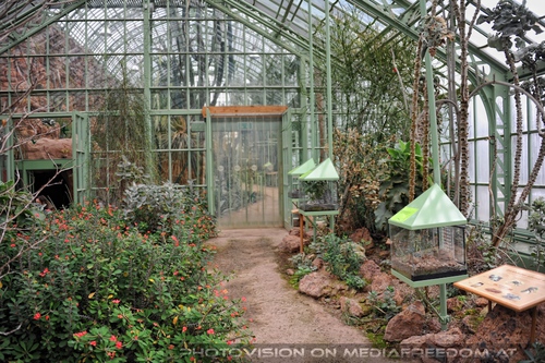 In the desert of Vienna 11