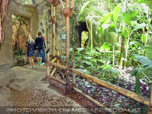 Im Regenwaldhaus: Gabriele P.