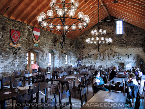 Elfen, Gnome und Druiden 63: Gabriele P.