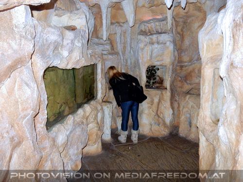 Terrarien 01: Gabriele P.