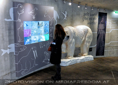 Eisb�ren 4: Manuela M.