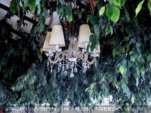 Wiener Ausflugsziel 05