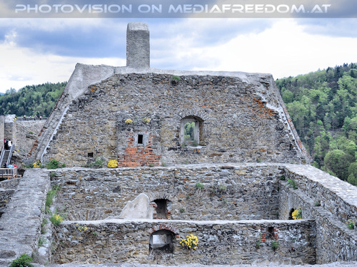 Elfen, Gnome und Druiden 21