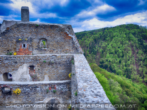 Elfen, Gnome und Druiden 23