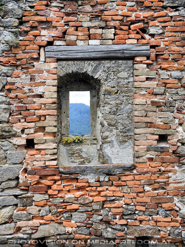 Elfen, Gnome und Druiden 24