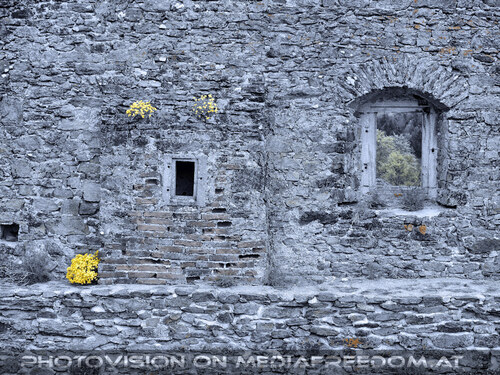 Elfen, Gnome und Druiden 25