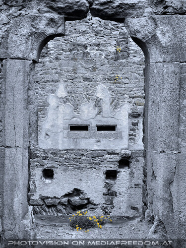 Elfen, Gnome und Druiden 26