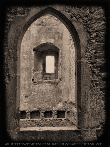 Elfen, Gnome und Druiden 18