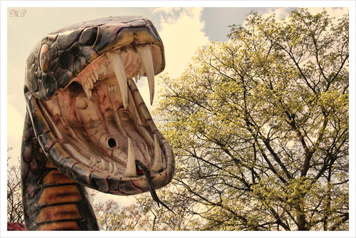 Wiener Prater, Schlange, Kobra