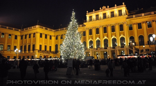 Das Schloss und der Christbaum