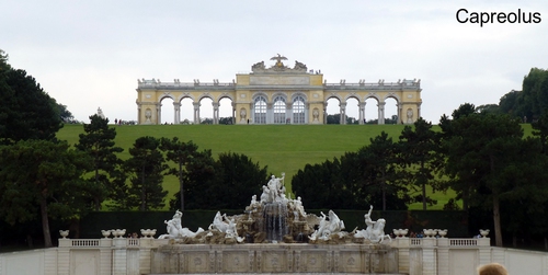 Blick zur Gloriette