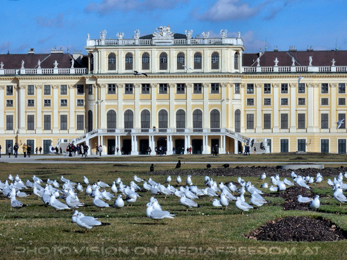 Das Schloss 12