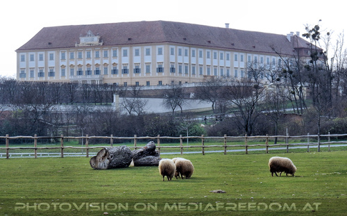 Das Schloss 09