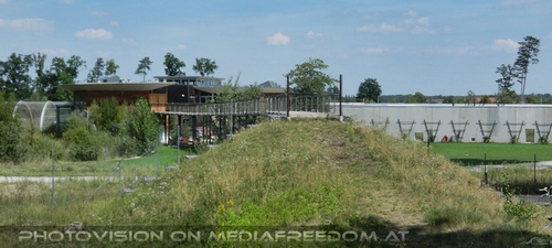 Blick zum Affenrefugium - Gut Aiderbichl