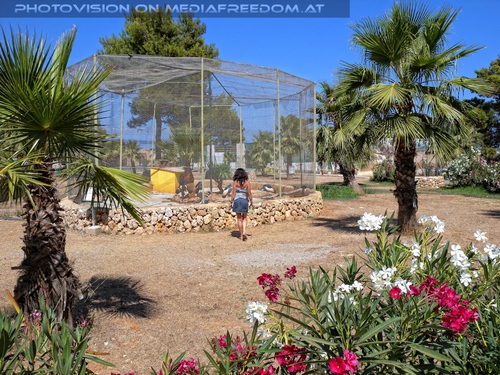 Eingebettet in Blumen