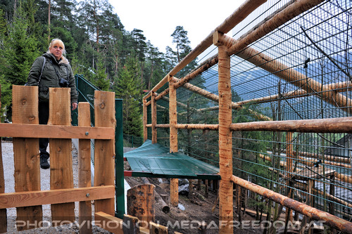 Der Zoo 04: Gabriele P.