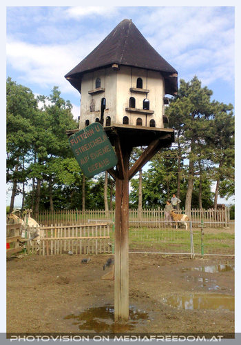 Wer will da schon raufklettern...