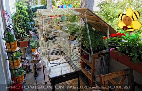 Birdland Terrasse 01