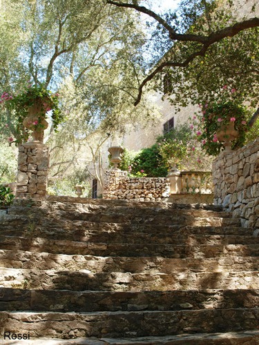 Verwunschenes Paradies