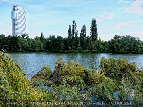 Florido Tower und gebrochene B�ume