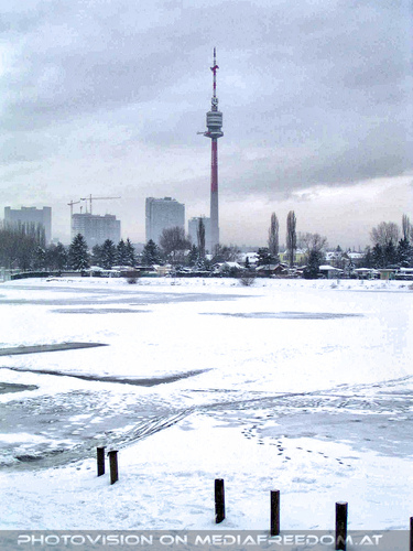 V�gel f�ttern 01